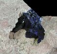 Large, Vibrant Azurite Crystal Cluster - Morocco #74688-2